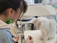 -怪兽屋·羊驼·猫咖·狗咖(俊华广场店)