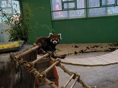 -海合安武汉极地海洋公园