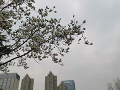-后襄河公园