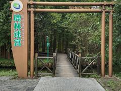 -溱湖国家湿地公园