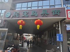 -中环花鸟鱼虫市场