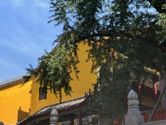 -宝通禅寺