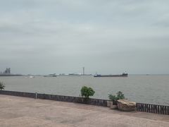 -上海滨江森林公园