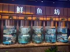 -老船舫·现做活鲜鱼馆(东郊记忆店)