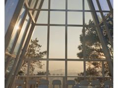 -南丹山森林王国
