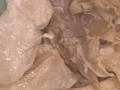 -润园四季椰子鸡火锅(南山海岸城店)