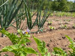 -北京大学(昌平校区)