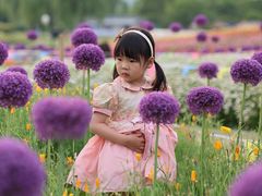 -径山花海