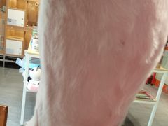 -汤姆宠物(长青北路店)