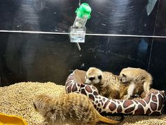 -太平洋海底世界