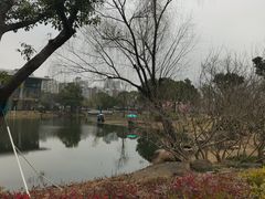 -新江湾城公园