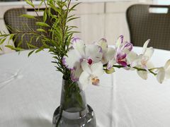 -寻味顺德·顺峰山庄(大良店)