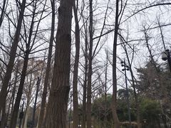 -西安汉城湖景区