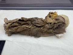 -巴音郭楞蒙古自治州博物馆