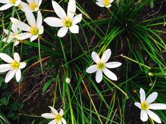 -白鹭湾湿地公园