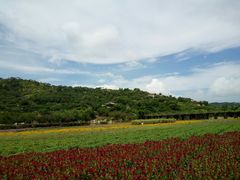 -丹樱生态园
