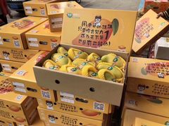 -双福水果批发市场