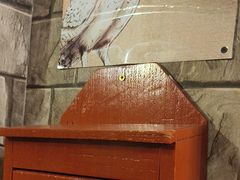 -逃脱反斗城沉浸剧情密室(北京路店)