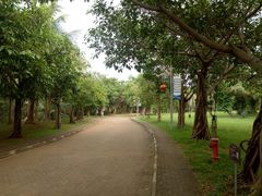 景点-白沙门生态公园
