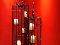 -禧鳳記·猪肚鸡火锅(玖洲道店)