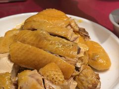 白切本鸡-群乐饭店(滨安路店)