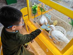 -神奇动物撸宠馆·羊驼·小浣熊·异宠(豫园店)