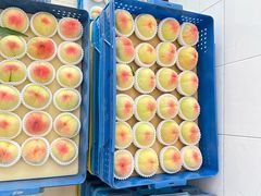 -老袁家蜜桃农场·阳山水蜜桃