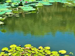 -艾溪湖湿地公园