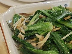 -开心农家菜