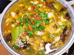 -鸡毛店·川菜(双楠店)