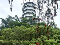 -深圳国际园林花卉博览园