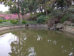 -嘉定紫藤园