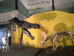 -湖南省地质博物馆