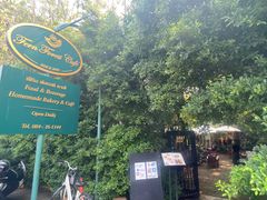 -Fern Forest Cafe