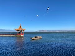 -洱海月湿地公园