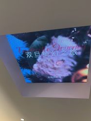 -纯粹医美