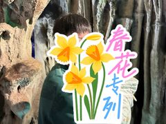 -灵栖洞天