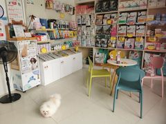 -乐琪宠物医院·犬猫专科·骨外科·急重症