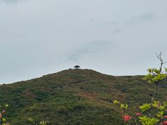 -大围山国家森林公园