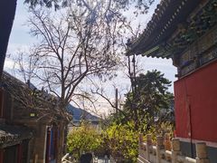 -潭柘寺景区