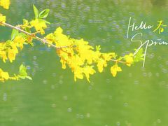 -海棠花溪(元大都城垣遗址公园)
