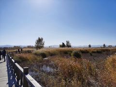 -野鸭湖国家湿地公园