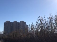 -水西公园