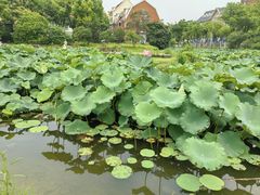 -美兰湖景区
