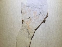 -辽宁古生物博物馆