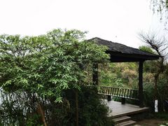 -桤木河湿地公园