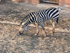 -祥源·阜阳生态乐园