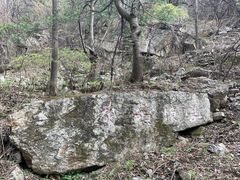 -王顺山国家森林公园