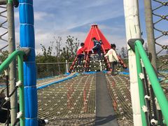 -上海长兴岛郊野公园