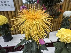 -上海大学（宝山校区）-图书馆